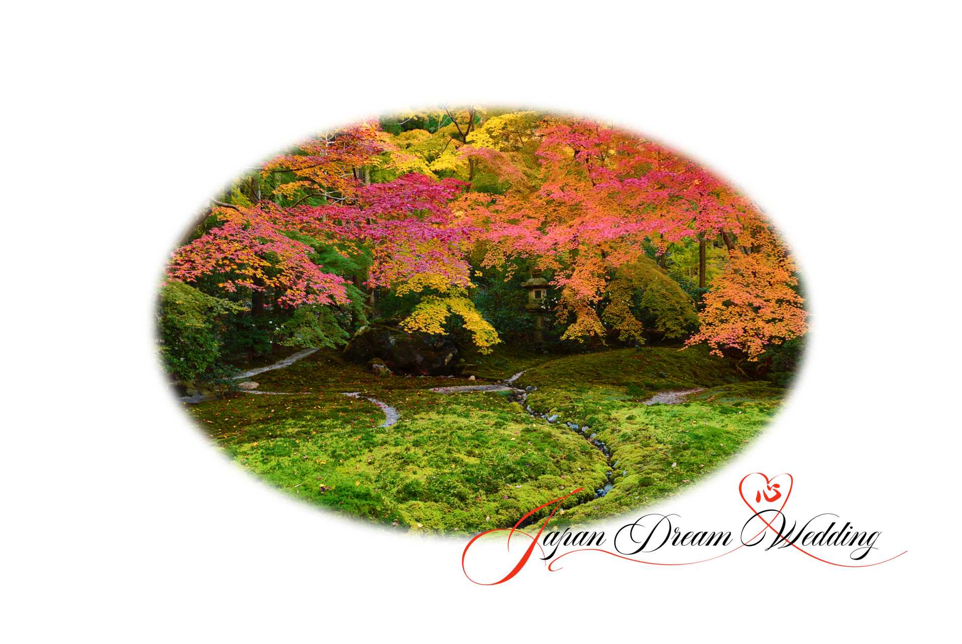Japan Dream Wedding About Us Fall Foliage