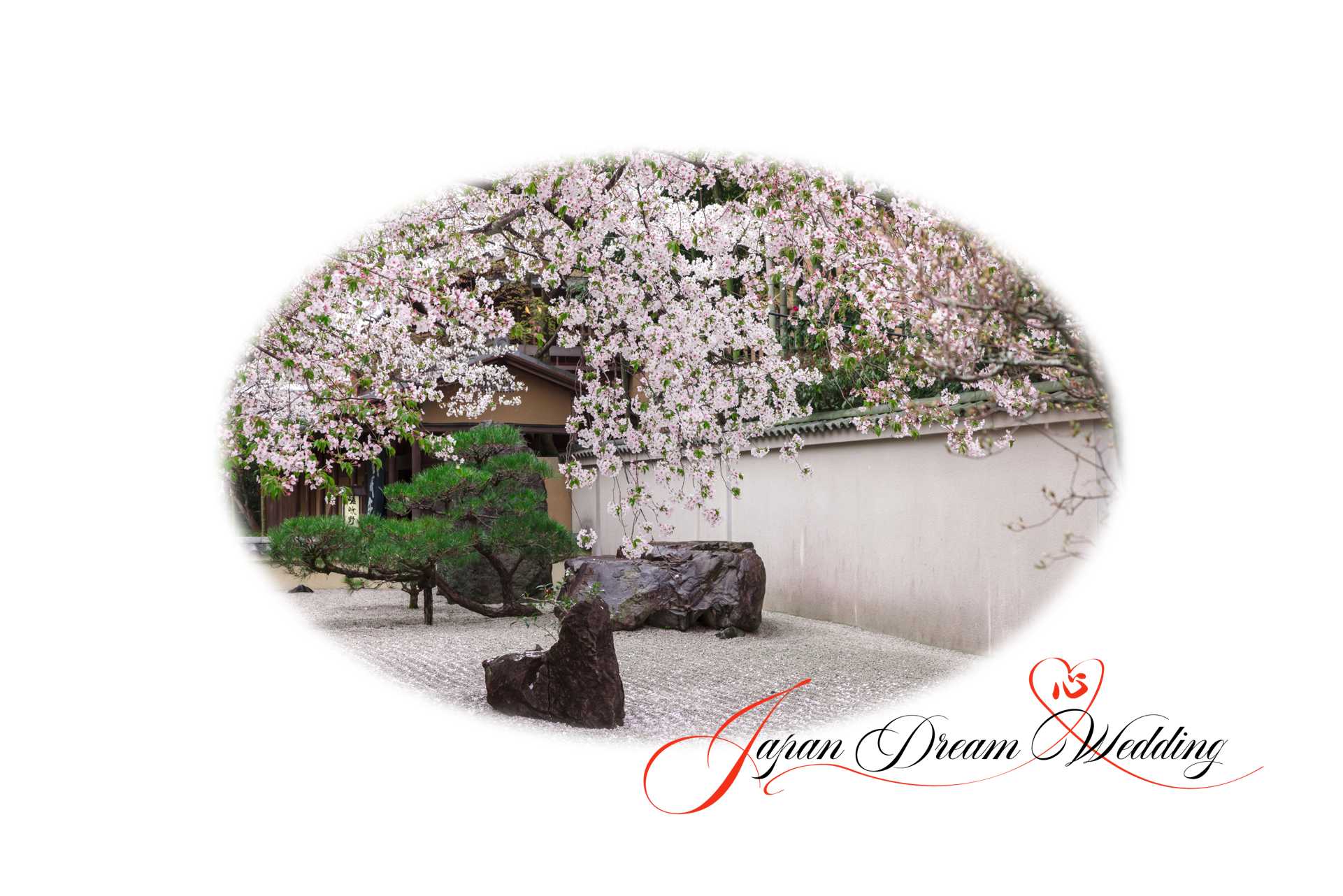 Japan Dream Wedding Spring Garden Contact Us
